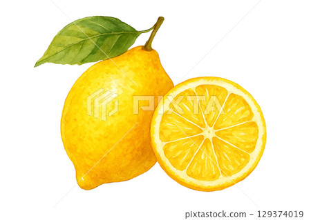 水彩系列：檸檬與檸檬的橫切面 129374019