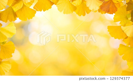 秋天的黃葉框架和金色模糊背景 秋天的黃葉框架和金色模糊背景 129374377
