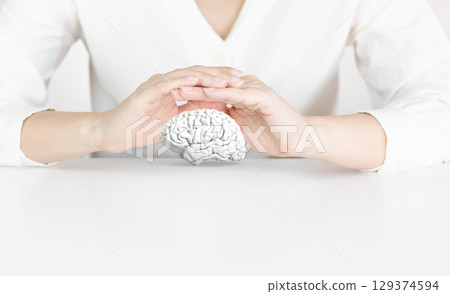 Human Hands Protecting White Brain Model on Clean White Background 129374594
