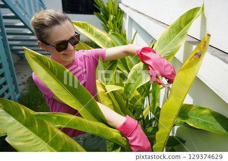 A young woman trims her beautiful garden  129374629
