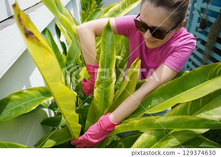 A young woman trims her beautiful garden  129374630