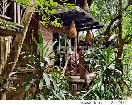 A beautiful beach cottage, wonderfully embraced by vibrant thick greenery A beautiful beach cottage, wonderfully embraced by vibrant thick greenery 129374711