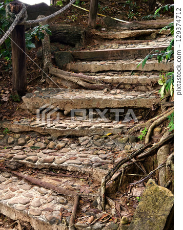 A picturesque pathway winding through lush greenery A picturesque pathway winding through lush greenery 129374712