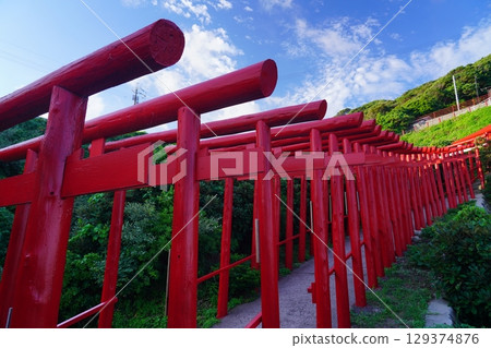 紅色鳥居元乃隅神社 296 129374876