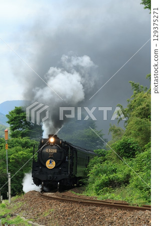 SL Yamaguchi D51 1862 129375271