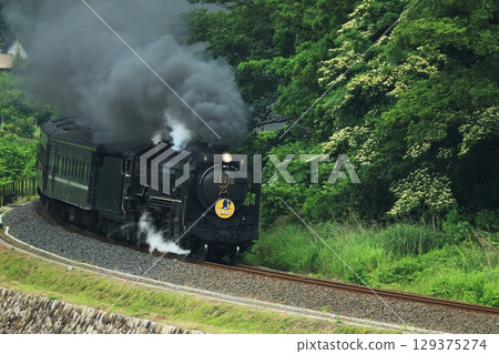 SL Yamaguchi D51 2276 SL Yamaguchi D51 2276 129375274