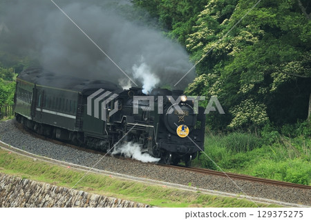 SL Yamaguchi D51 2280 129375275