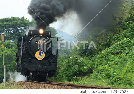 SL Yamaguchi D51 2374 129375281