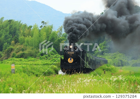 SL 山口 D51 9562 SL 山口 D51 9562 129375284