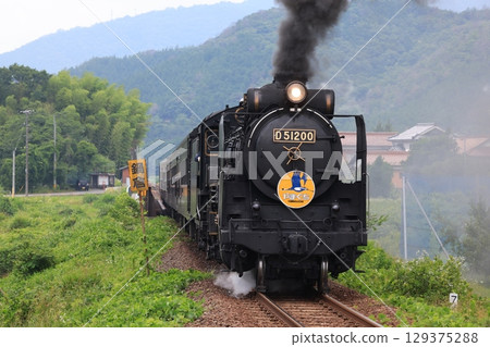 SL Yamaguchi D51 9683 129375288