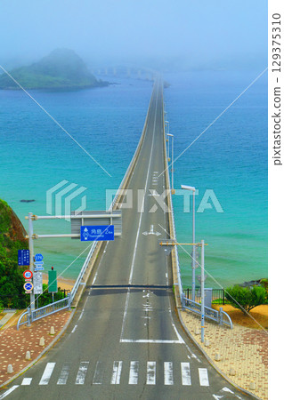 Kiri no Tsunoshima Bridge 2159 129375310