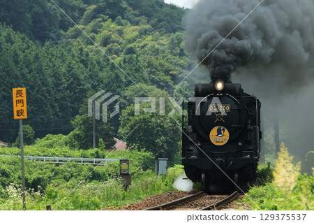 SL Yamaguchi D51 2635 129375537