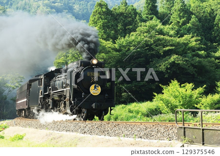 SL Yamaguchi D51 2711 129375546