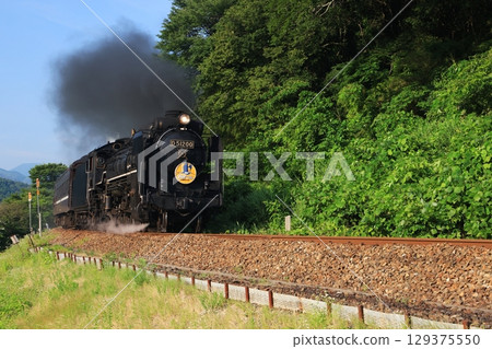 SL 山口 D51 1 129375550