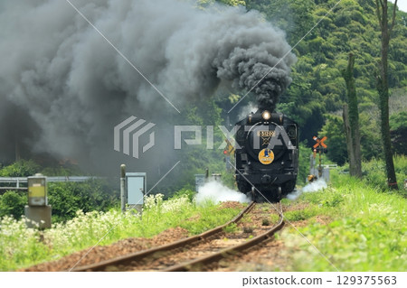 SL Yamaguchi D51 1607 129375563