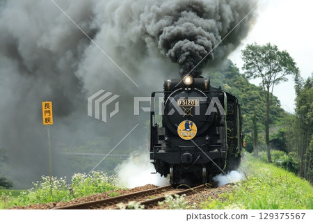 SL Yamaguchi D51 1644 SL Yamaguchi D51 1644 129375567