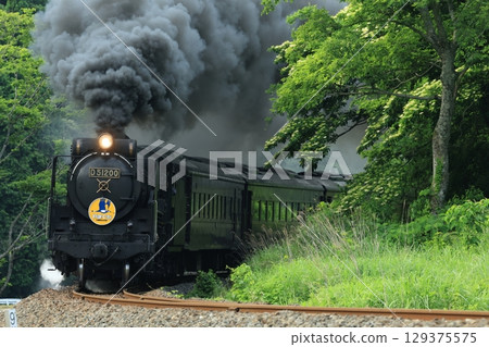 SL Yamaguchi D51 1768 SL Yamaguchi D51 1768 129375575