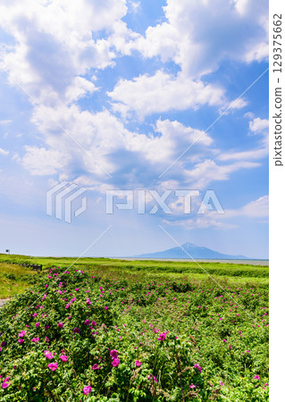 Grasslands, sea and Rishiri-Fuji, travelling along the Ororon Line from Teshio to Nakukai Grasslands, sea and Rishiri-Fuji, travelling along the Ororon Line from Teshio to Nakukai 129375662