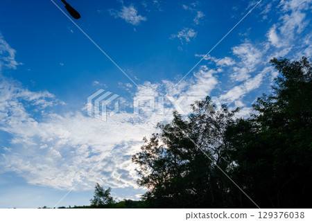Fresh greenery shining against the blue sky Fresh greenery shining against the blue sky 129376038