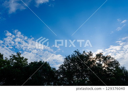 清新的綠色在藍天的襯托下熠熠生輝 清新的綠色在藍天的襯托下熠熠生輝 129376040