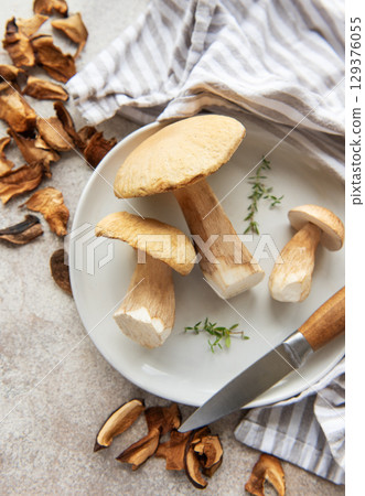 Fresh penny bun mushrooms with dried slices on a plate Fresh penny bun mushrooms with dried slices on a plate 129376055