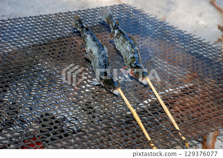 在營地捕獲的魚用炭火烤製 129376077