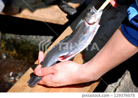 Fish caught at the campsite grilled over charcoal 129376078