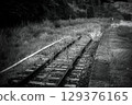A railroad track running through a single road of lush grass A railroad track running through a single road of lush grass 129376165
