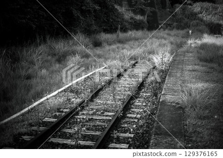 A railroad track running through a single road of lush grass A railroad track running through a single road of lush grass 129376165