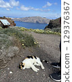 Santorini cat 129376367