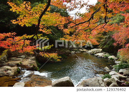 Colorful autumn leaves on the banks of the valley 129376402
