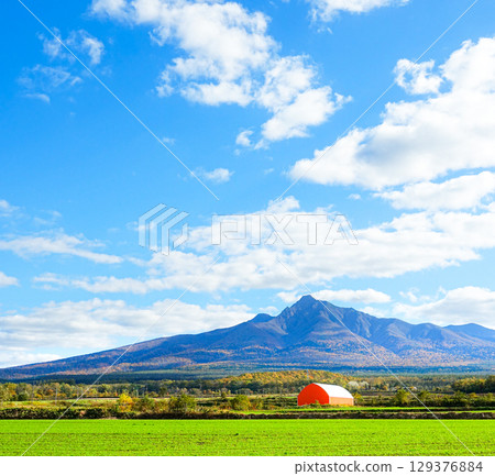 秋日晴空和斜里山的雄偉景色 129376884