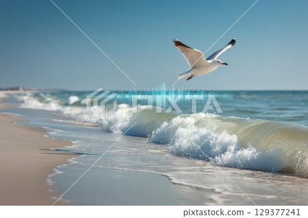Seagull Flying Above Waves on a Plastic Free Beach with Clear Ocean in Background Seagull Flying Above Waves on a Plastic Free Beach with Clear Ocean in Background 129377241