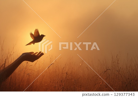 Hands Releasing a Glowing Bird Against a Mystical Sunrise Background 129377343