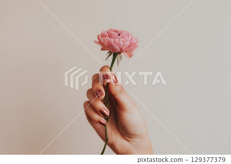 Elegant Hand Holding a Pink Flower Delicately Against a Soft Neutral Background 129377379