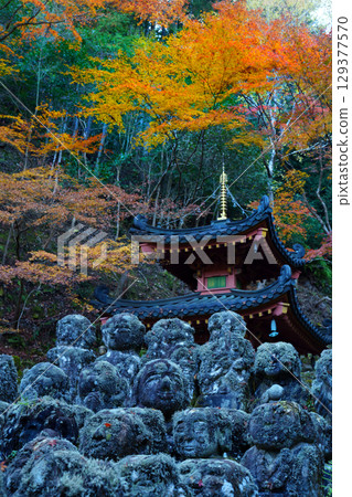 京都Atago菩薩寺廟秋天 129377570