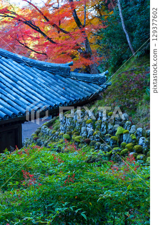 Autumn of Kyoto Atago Buddha temple 129377602
