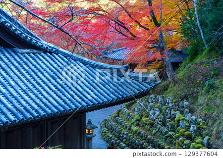 京都Atago菩薩寺廟秋天 京都Atago菩薩寺廟秋天 129377604