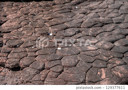 The surface of sun cracks rock in Phu Langka National Park of Bueng Kan province, Thailand. In geology, a crack formed in a rock by exposure to the sun's heat at the time the rock was consolidating. The surface of sun cracks rock in Phu Langka National Park of Bueng Kan province, Thailand. In geology, a crack formed in a rock by exposure to the sun's heat at the time the rock was consolidating. 129377611