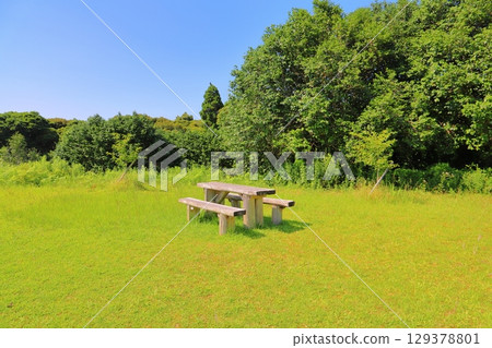 草地，樹木，藍天，桌子，長凳 129378801