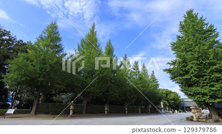 與鳥居的風景 與鳥居的風景 129379786