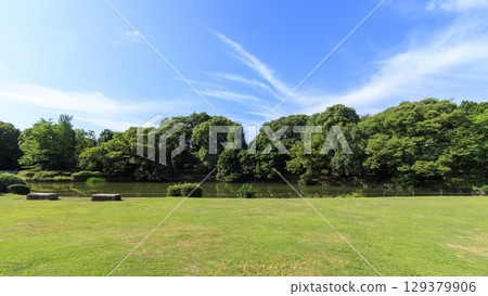 Summer at Kitanomaru Park 129379906