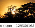 夕陽 129380168