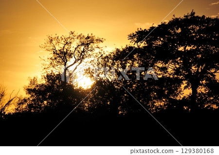 夕陽 129380168