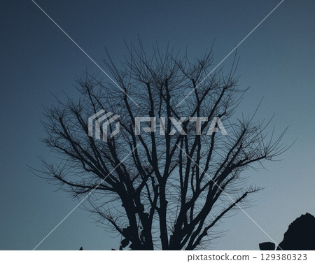A silhouette floating in the winter sky 129380323