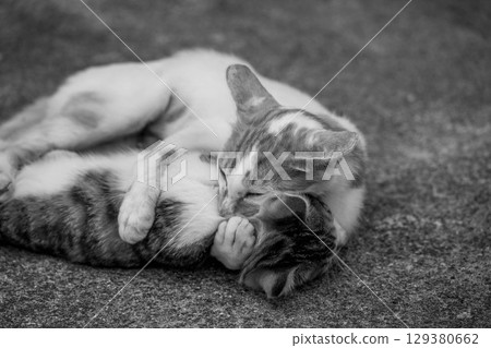 Motherhood - I want to hug you Motherhood - I want to hug you 129380662