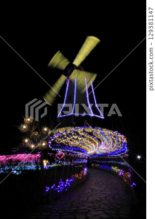 冬夜霞浦公園的五彩燈光 冬夜霞浦公園的五彩燈光 129381147
