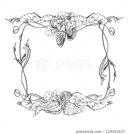 Strawberry hanging on stems with vines tendrils, ripe garden berry pineberry strasberry. Isolated hand drawn vector ink vignette frame. Farmers market, eco gardening stationery, food packaging cards 129381637