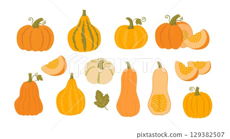 Pumpkin set whole, slice and halves vector illustration. Traditional autumn vegetables, harvest. Vegetarian food. Thanksgiving design. Farmers market 129382507