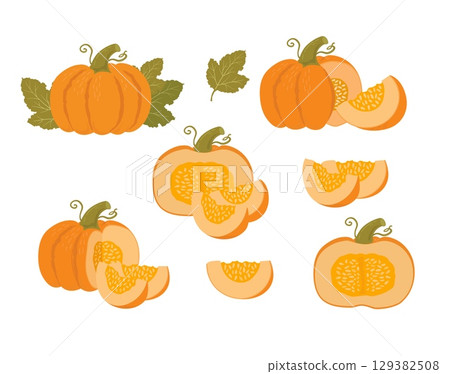 Pumpkin set whole, slice and halves vector illustration. Autumn vegetables on white background. Vegetarian food Pumpkin set whole, slice and halves vector illustration. Autumn vegetables on white background. Vegetarian food 129382508